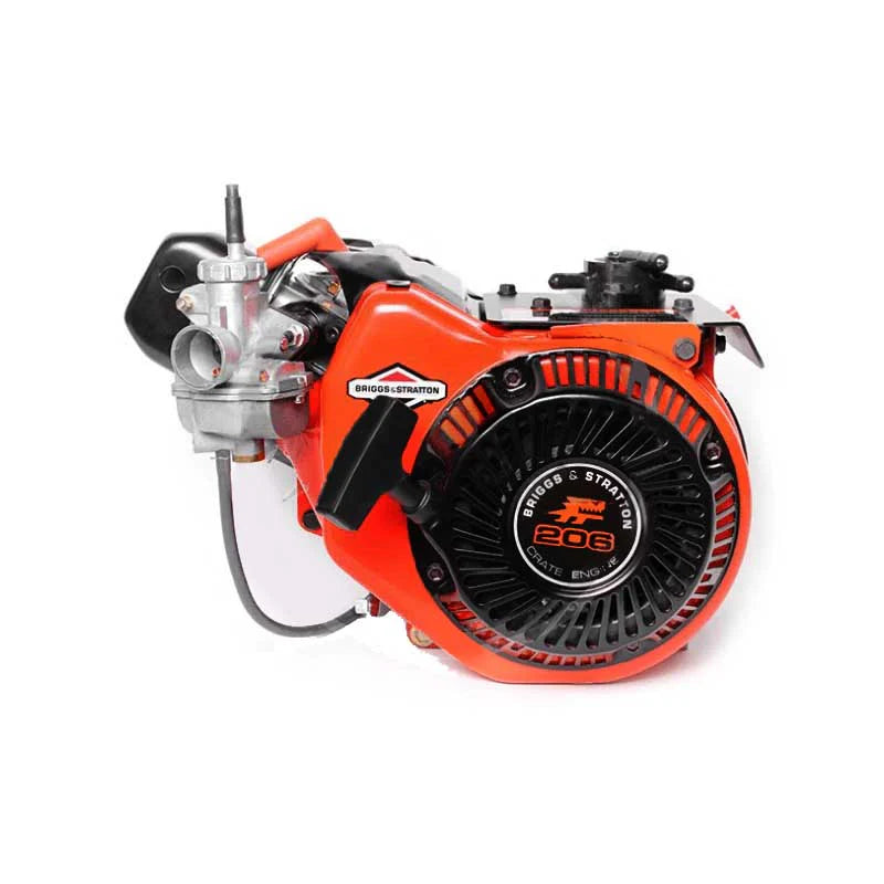 BRIGGS & STRATTON Lo206 COMPLETE ENGINE