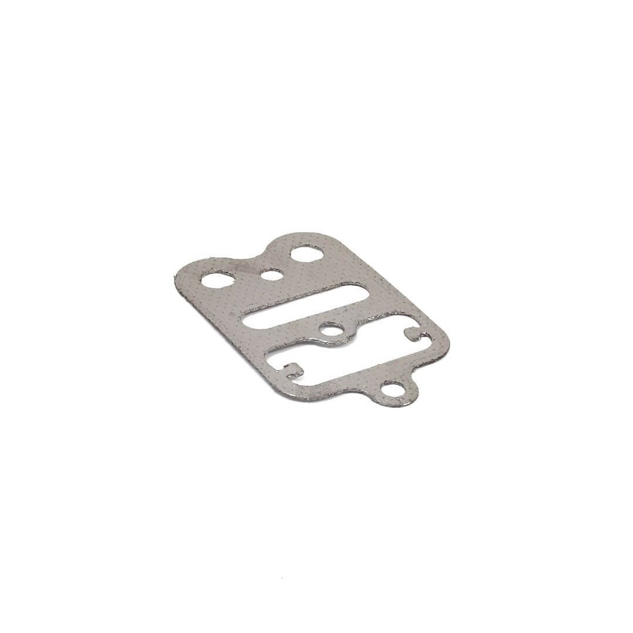LO206/ANIMAL HEAD PLATE GASKET