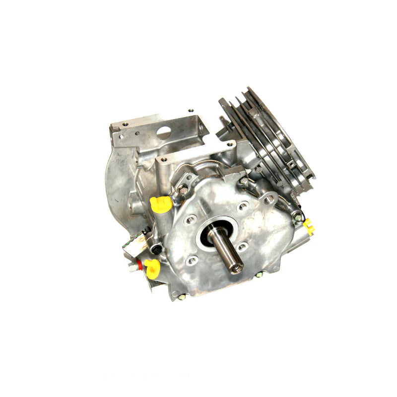 BRIGGS Lo206 SEALED SHORT BLOCK