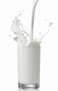 MILK