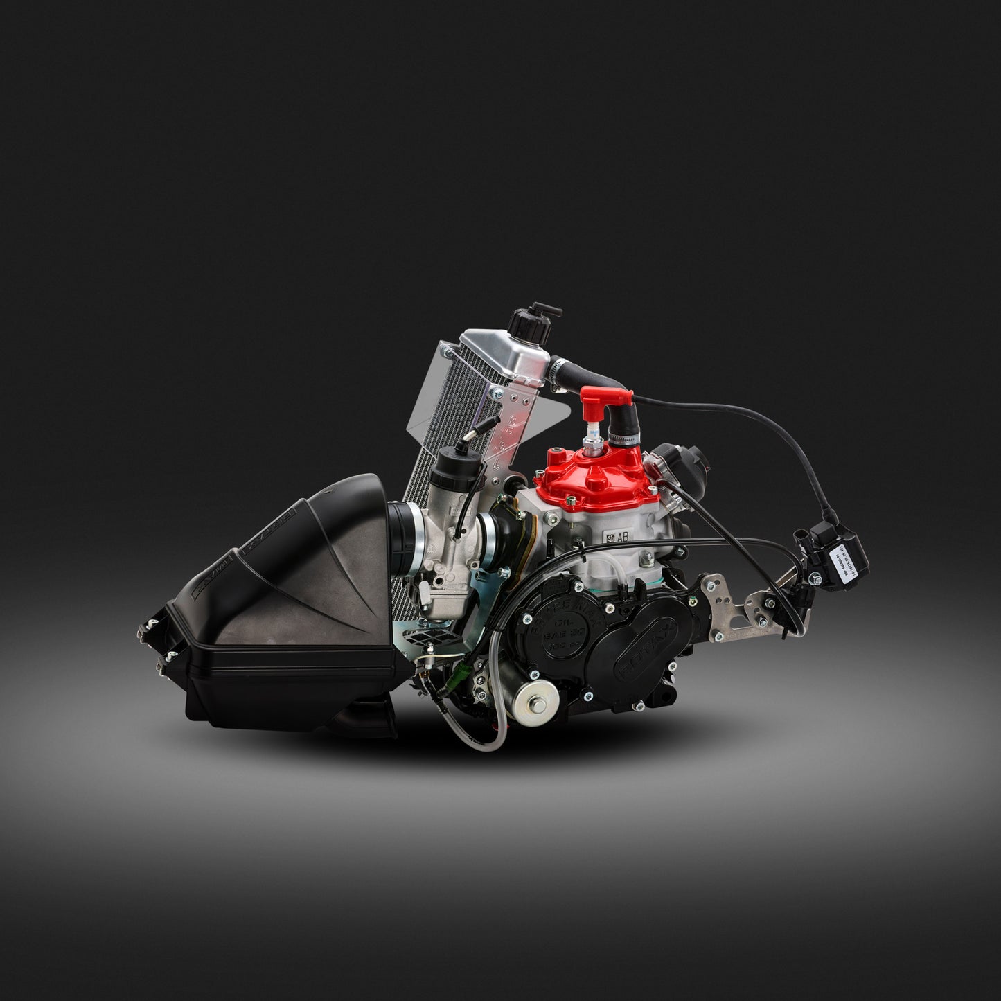 Rotax Mini Max Engine