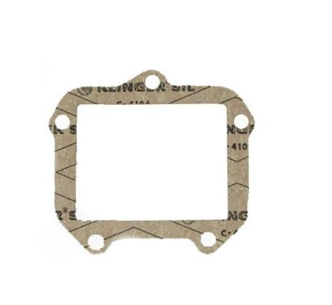 Gasket reed valve for Rotax