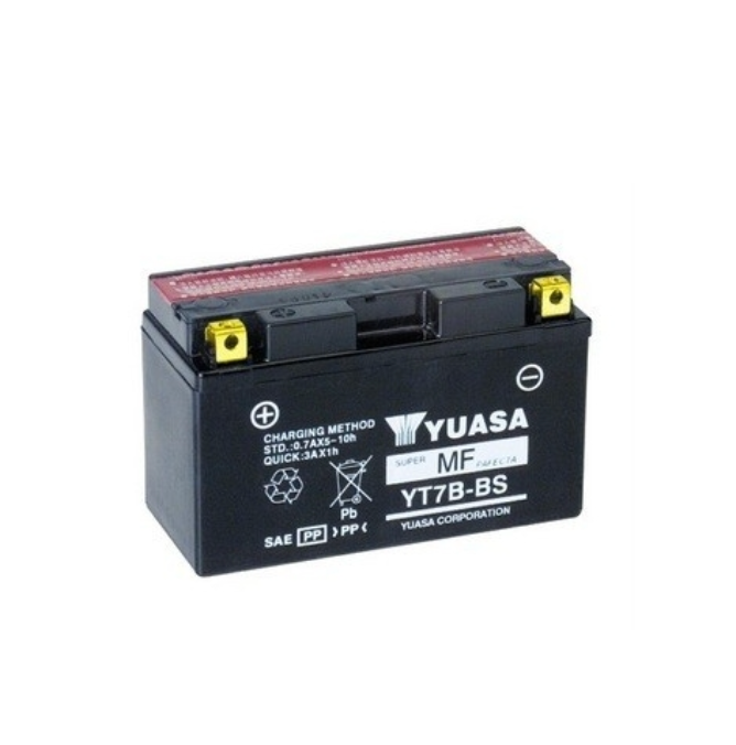 Battery Standard Rotax Evo DD2