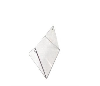 Plexiglass Protection Radiator Rotax Micro