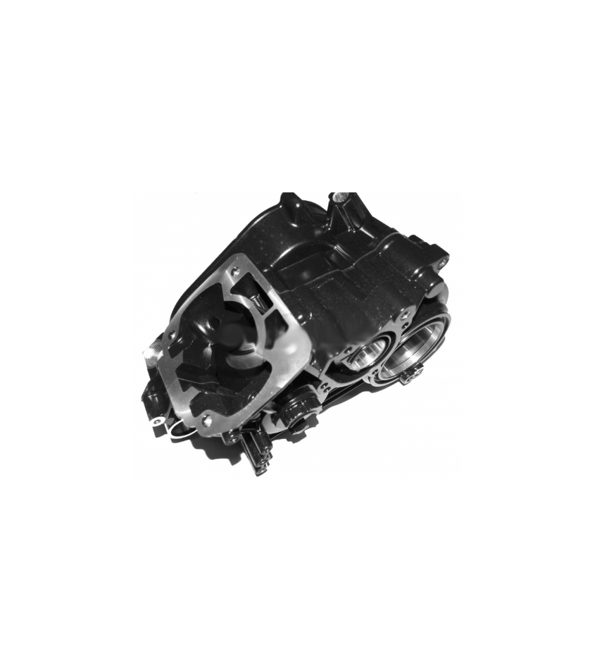 Complete Crankcase Rotax DD2