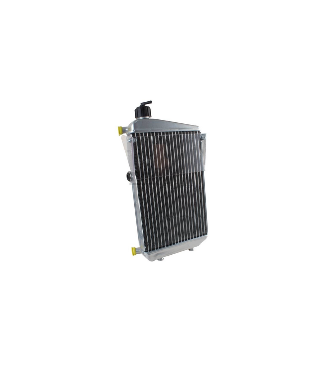 Radiator Rotax Evo DD2