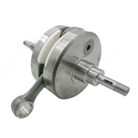 W7000135000100 Complete Crankshaft