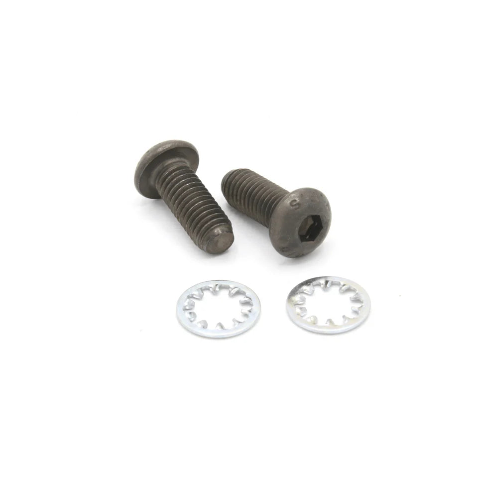 riggs 206 Chain Guard Bolt Kit