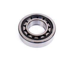 IAME MAIN ROLLER BEARING - X30