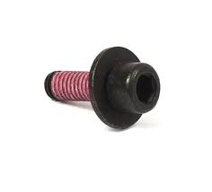 BRIGGS ENGINE METRIC SCREW 555644
