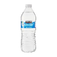 KIRKLAND WATER 16.9OZ
