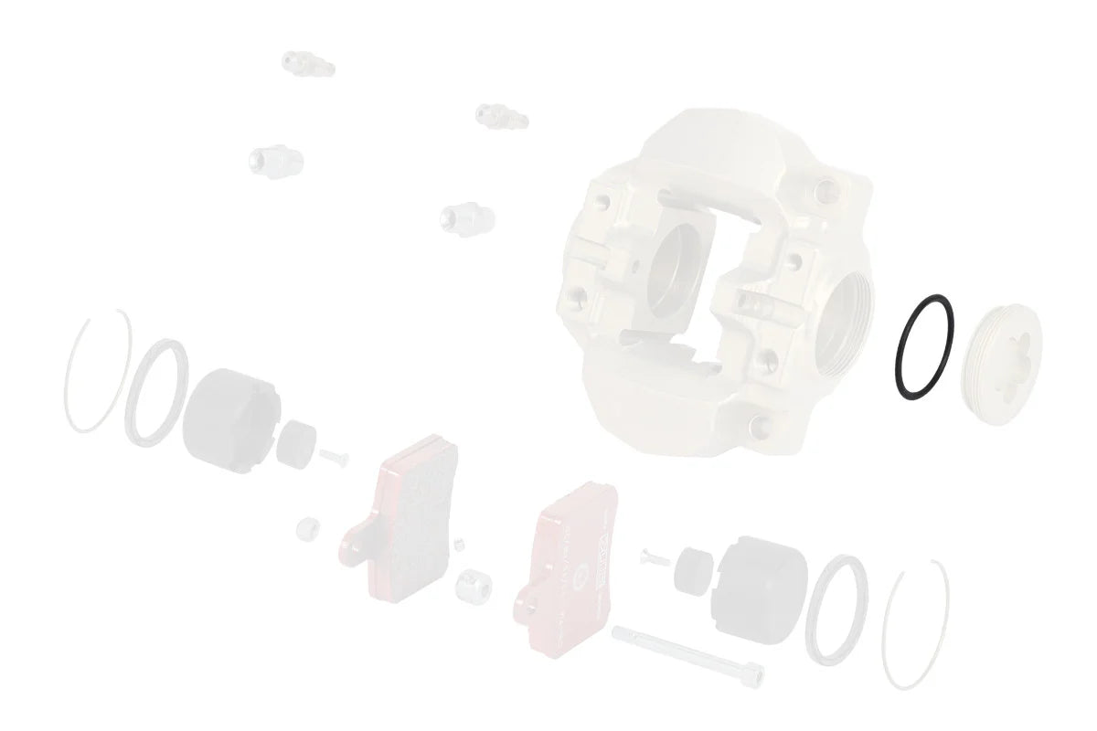 0082.G10 Rear caliper plug BSD o-ring