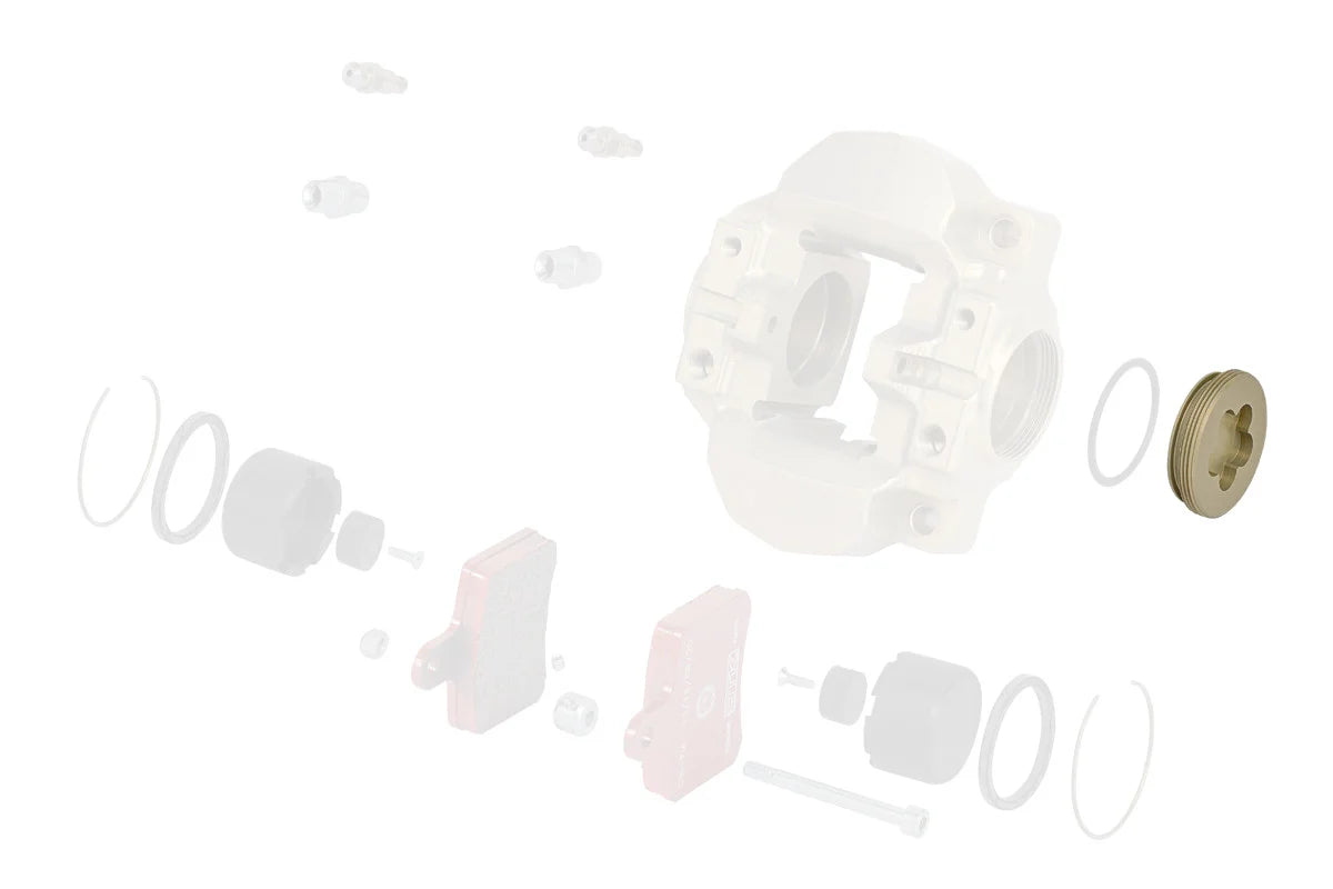 0082.G1A Rear caliper plug BSD