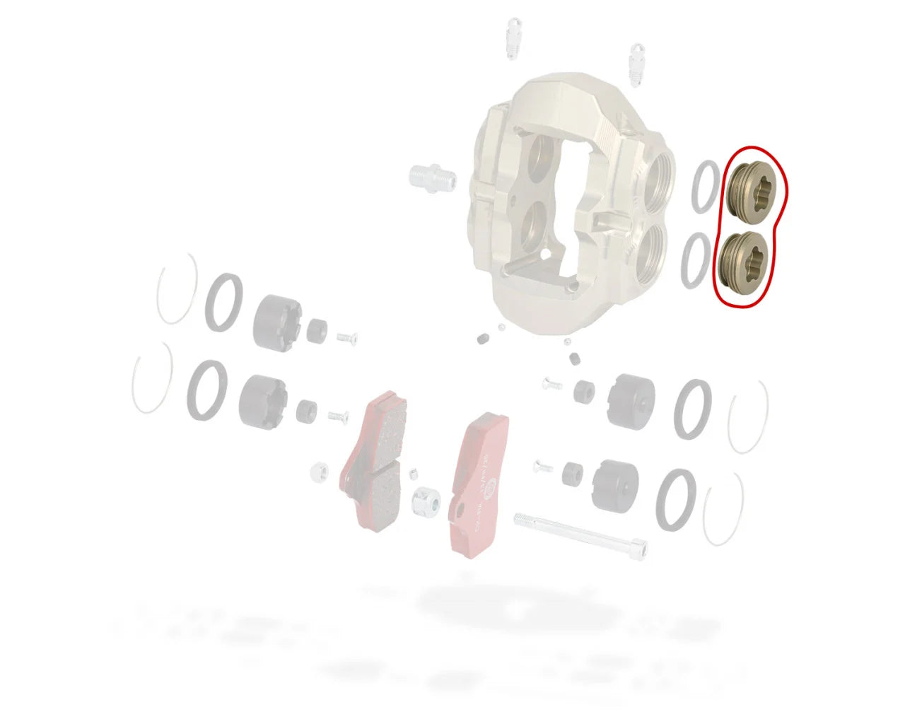 REAR CALIPER PLUG KZ BSS 0100.G1A