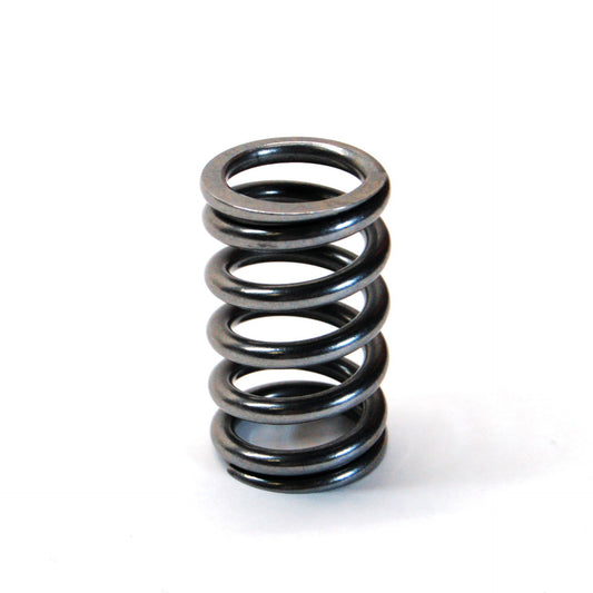 TS-VALVE SPRING 20LB SKT