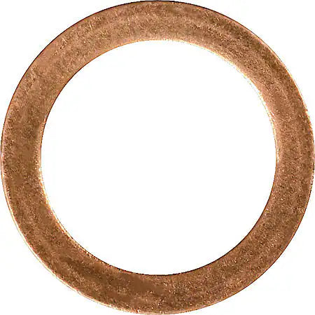 VIPER WASHER FOR BRAKE CALIPER