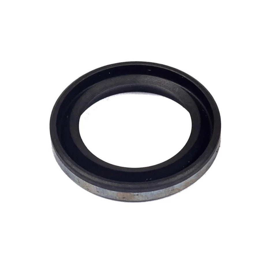 Briggs & Stratton LO206 299819S Oil Seal
