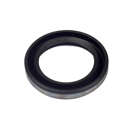 Briggs & Stratton LO206 299819S Oil Seal