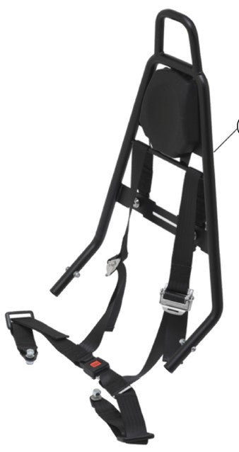 VIPER COMPLETE ROLL-BAR W/O SAFETY BELTS