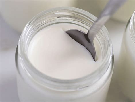 YOGURT