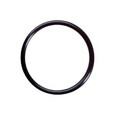 TS-O-RING #22 SEAL