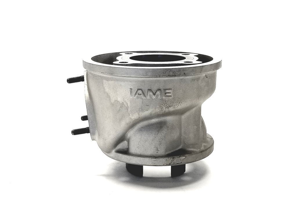 13A - A-125036 IAME Leopard 08 Cylinder